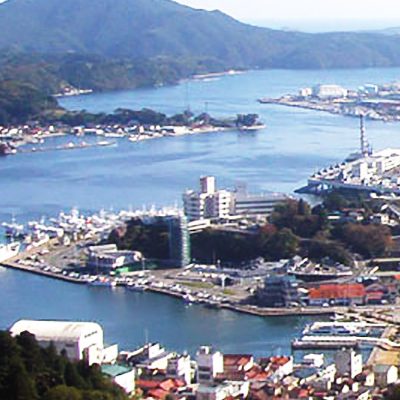 安波山からの気仙沼漁港の風景