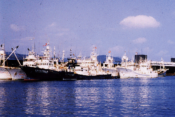 石巻漁港
